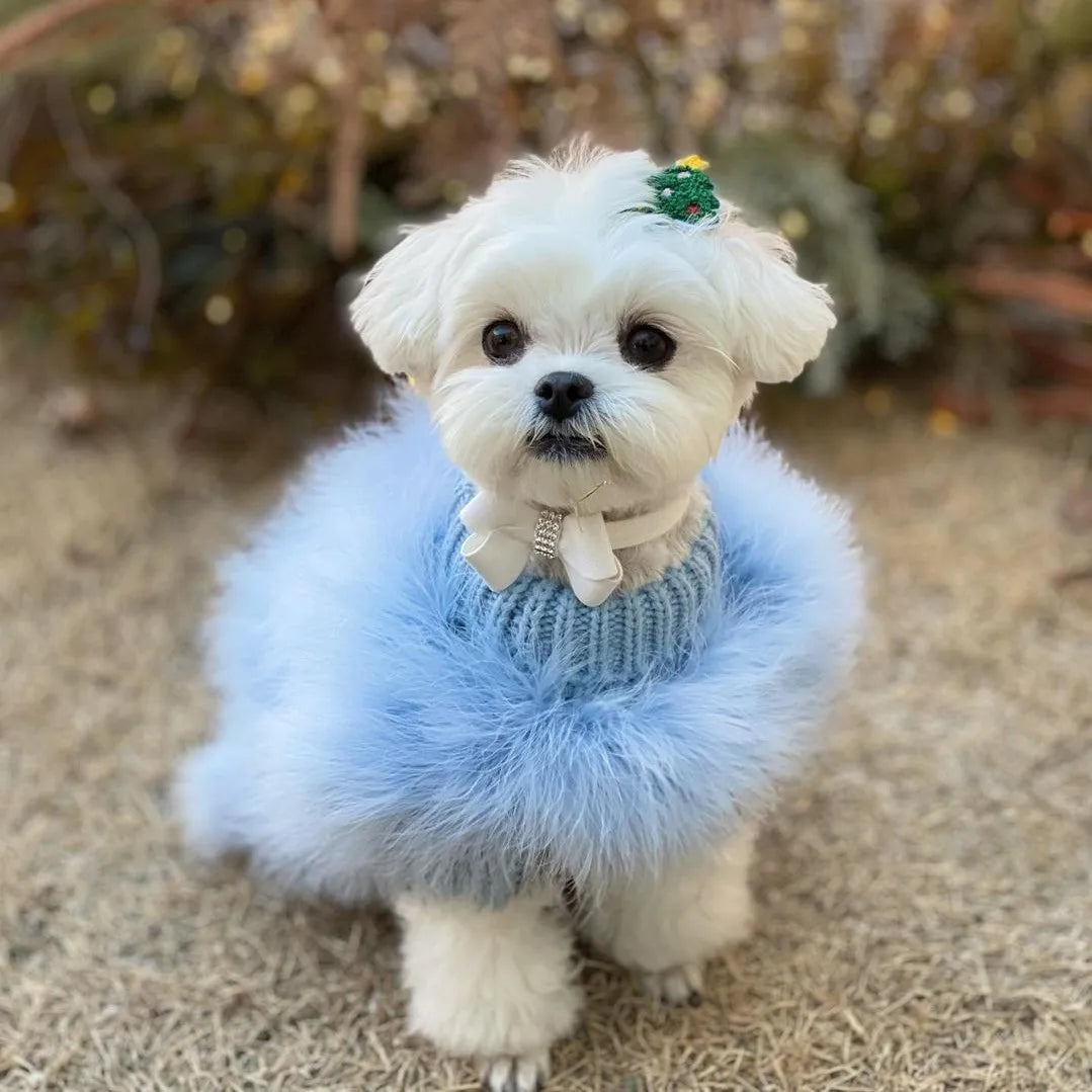 Soft Textured Warm Dog Sweater for Party Looks