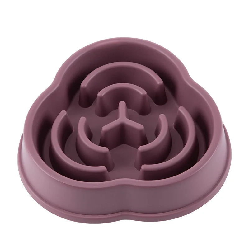 Non-Slip Slow Feeder Bowl for Dogs and Cats