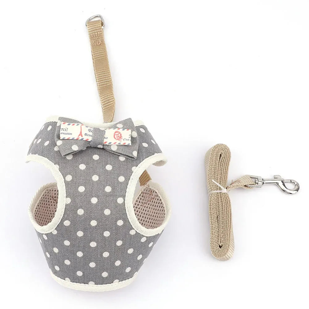 Bowknot Mesh Harness and Leash Set for Small Dogs and Cats
