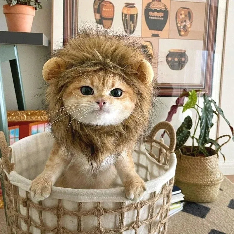 Lion Mane Cat Hat for Photos, Parties and Cozy Fun