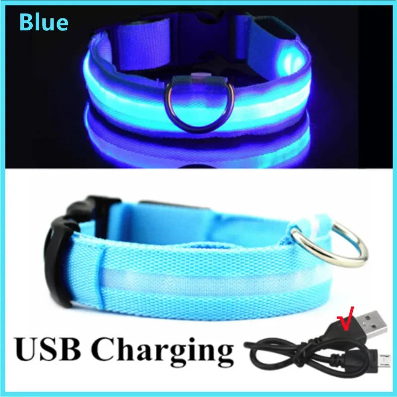 USB Rechargeable LED Glow Collar with 3 Light Modes