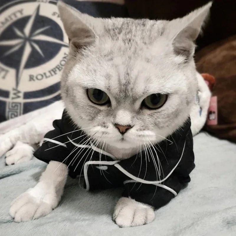 Christmas Hoodie Costume for Cats and Small Dogs