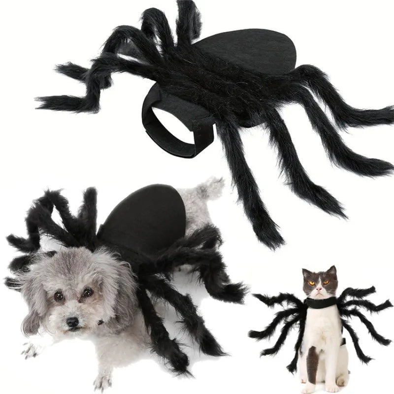 Halloween Spider Costume for Cats and Small Dogs