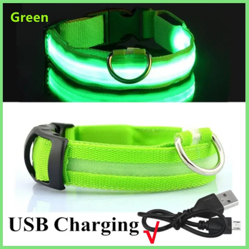 USB Rechargeable LED Glow Collar with 3 Light Modes