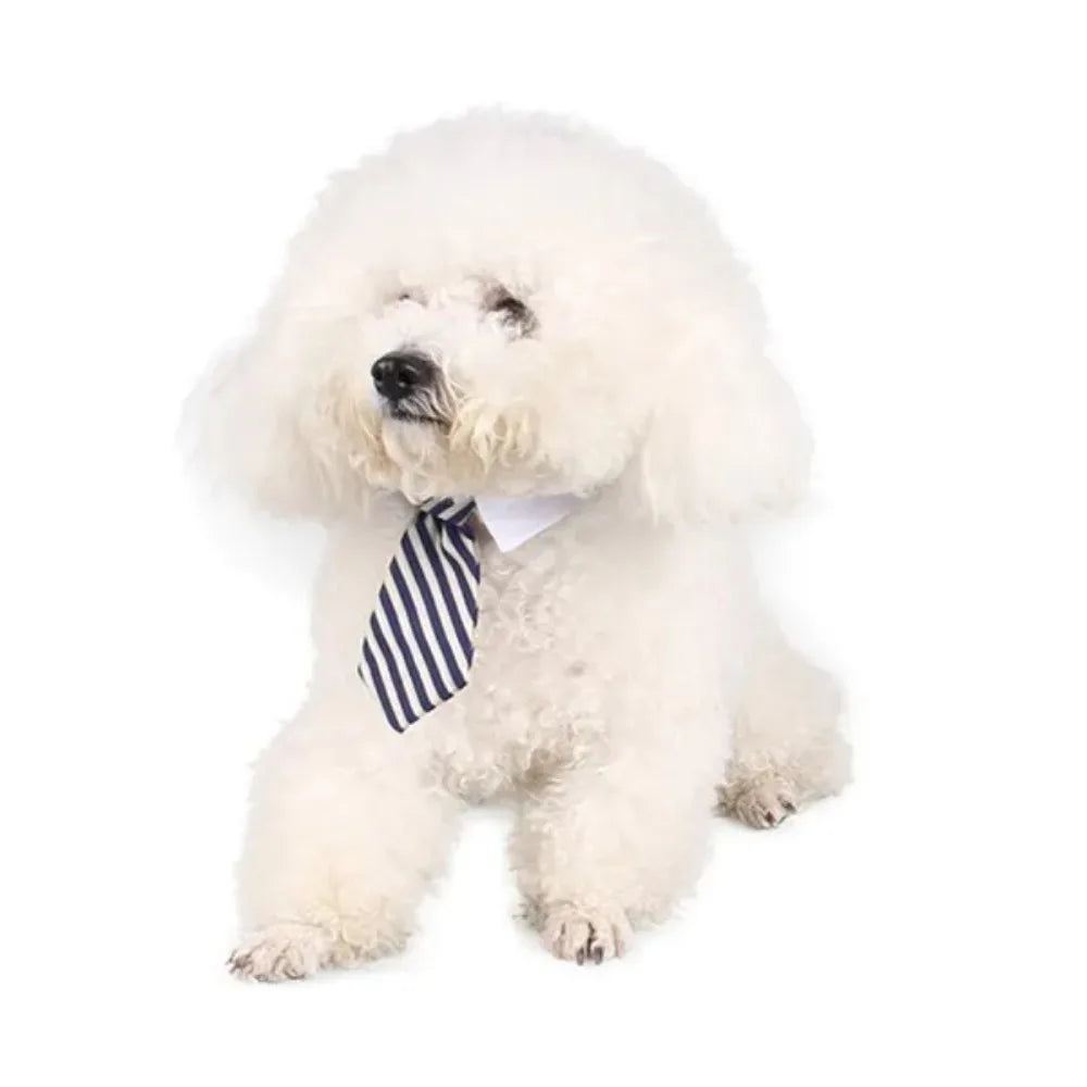 Adjustable Pet Bow Tie Neck Tie for Small Dogs and Cats