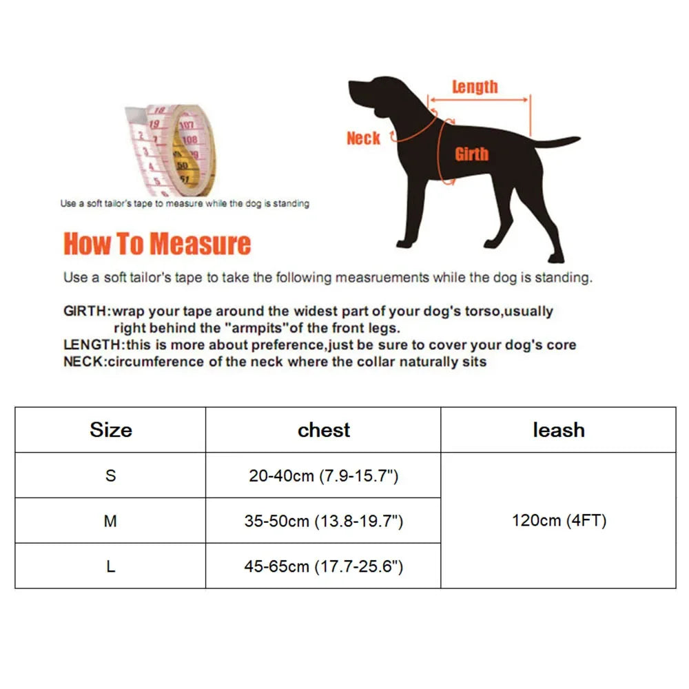 Bowknot Mesh Harness and Leash Set for Small Dogs and Cats