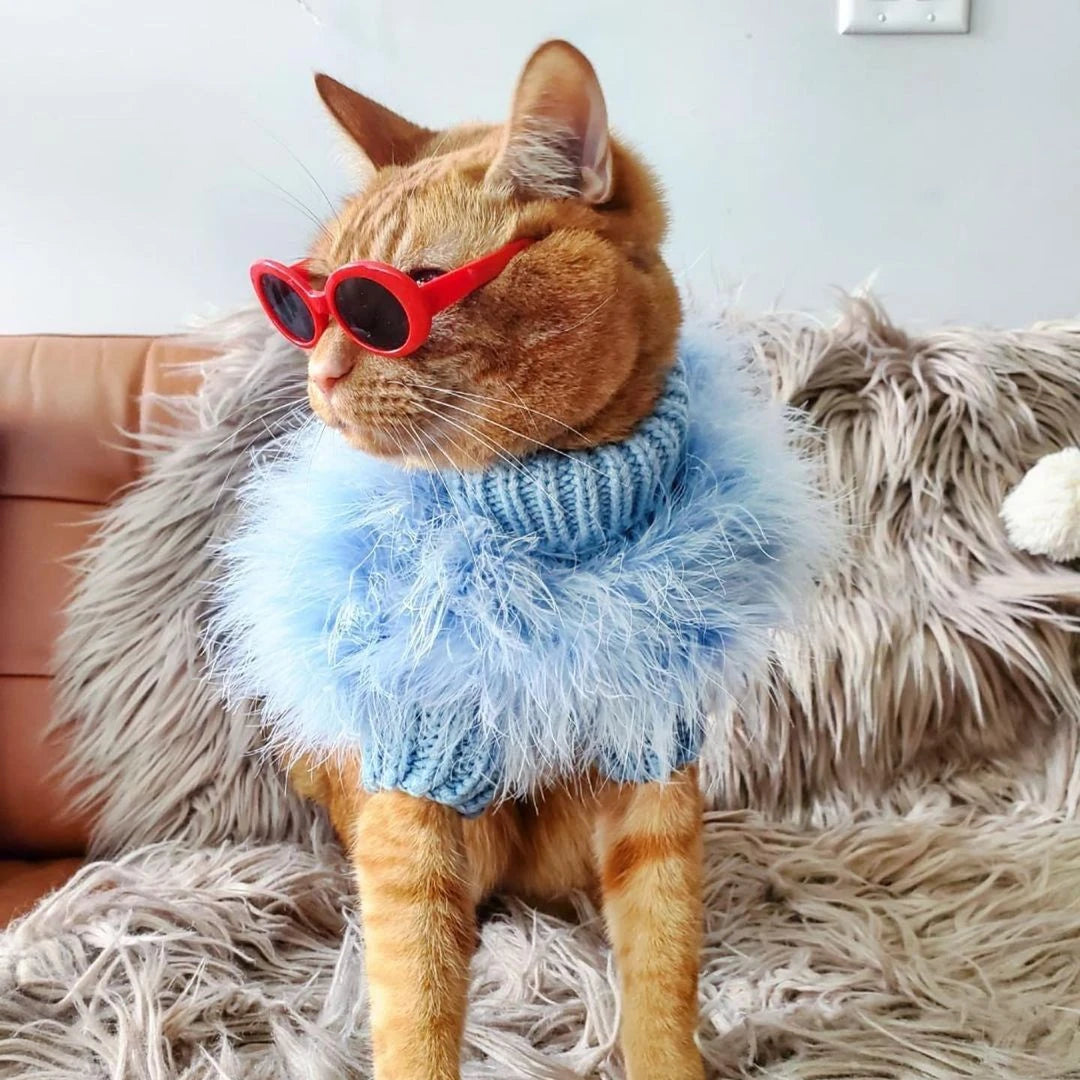Soft Textured Warm Dog Sweater for Party Looks