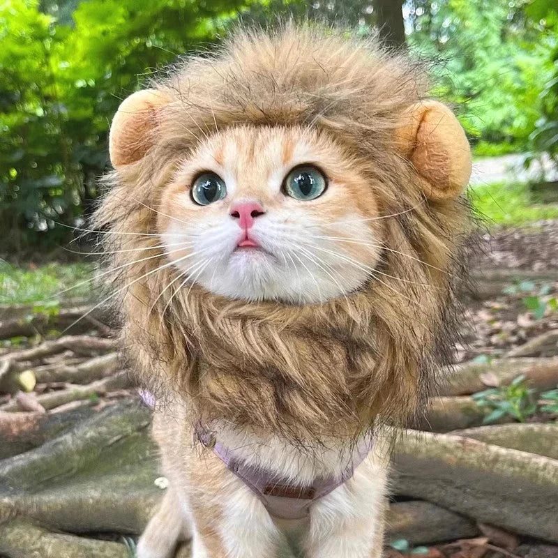 Lion Mane Cat Hat for Photos, Parties and Cozy Fun