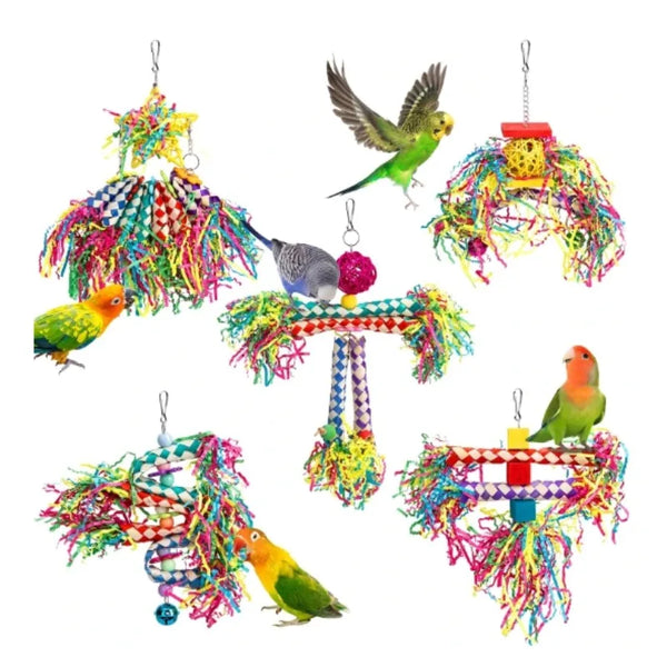 Colorful Parrot Biting and Foraging Toy Set