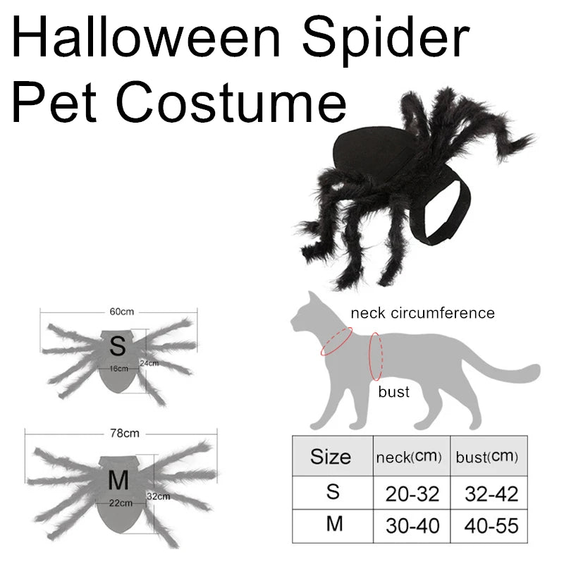 Halloween Spider Costume for Cats and Small Dogs