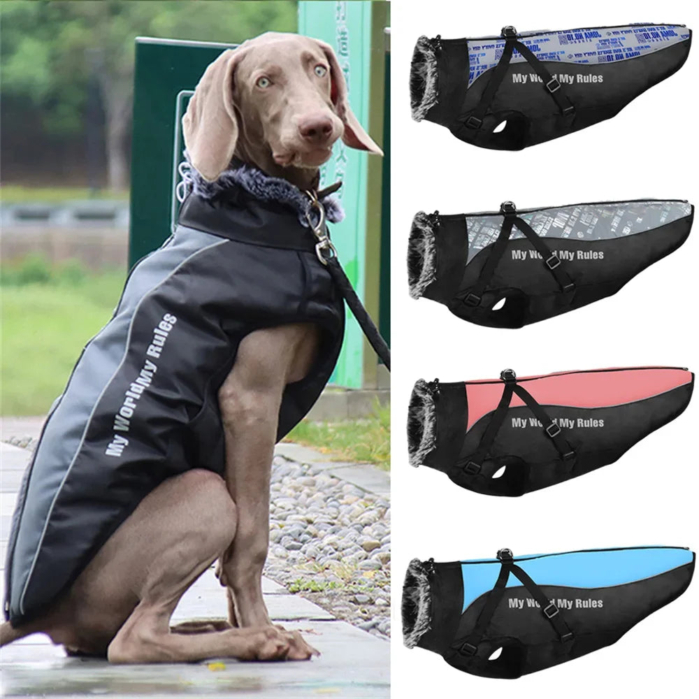 Fur Collar Winter Coat for Medium and Large Dogs