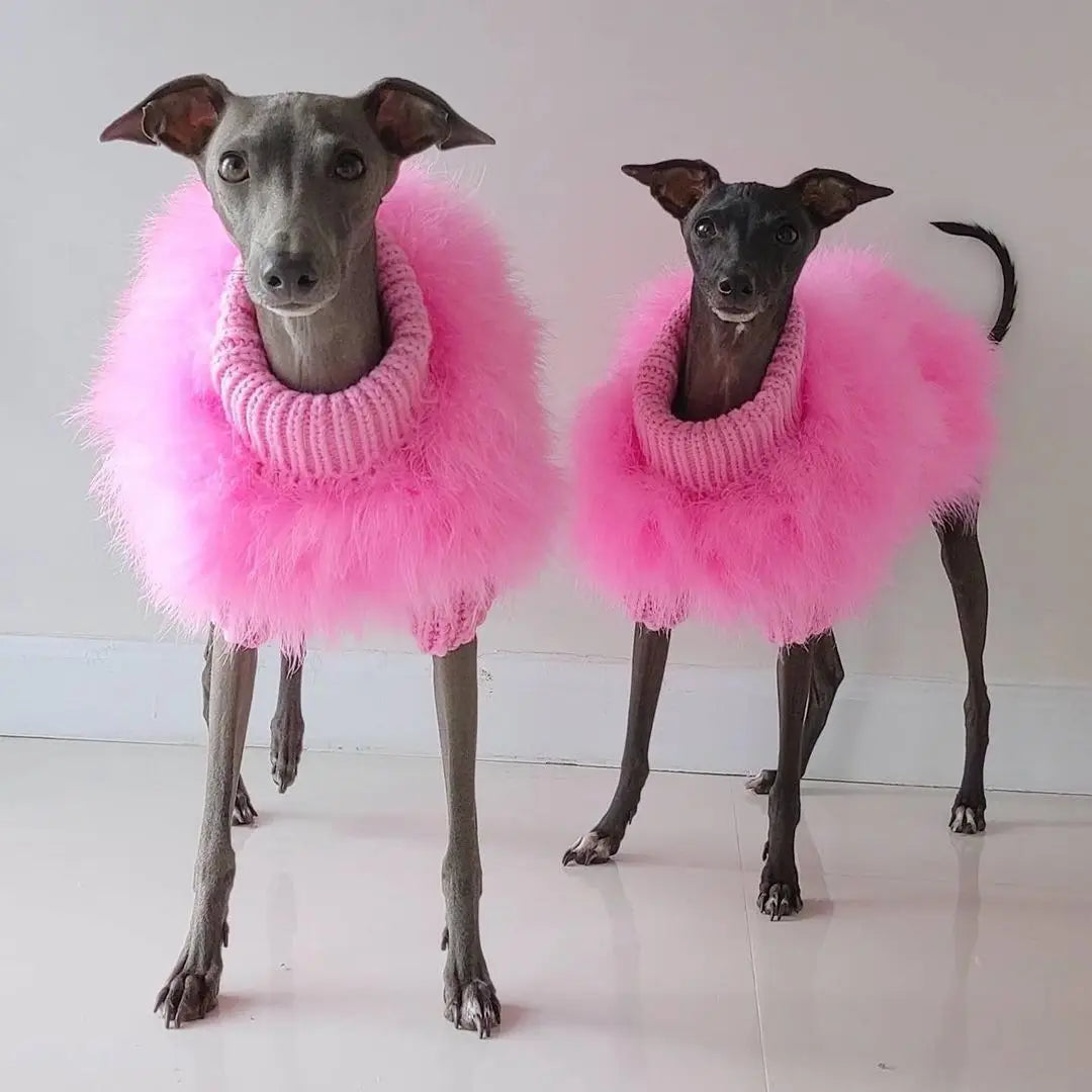 Soft Textured Warm Dog Sweater for Party Looks