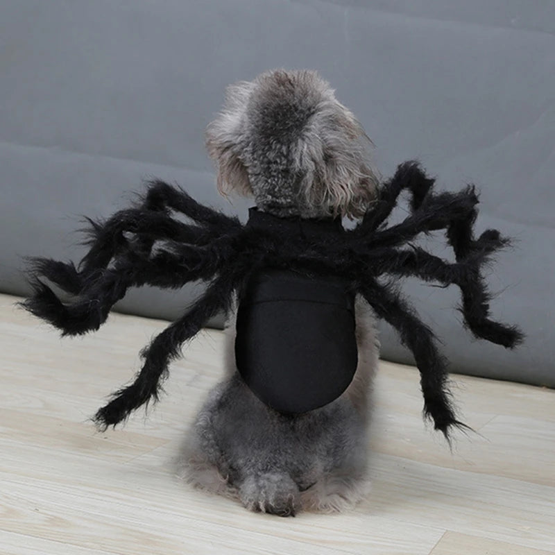 Halloween Spider Costume for Cats and Small Dogs
