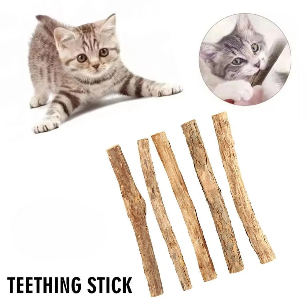 Natural Catnip Chew Sticks for Dental Play