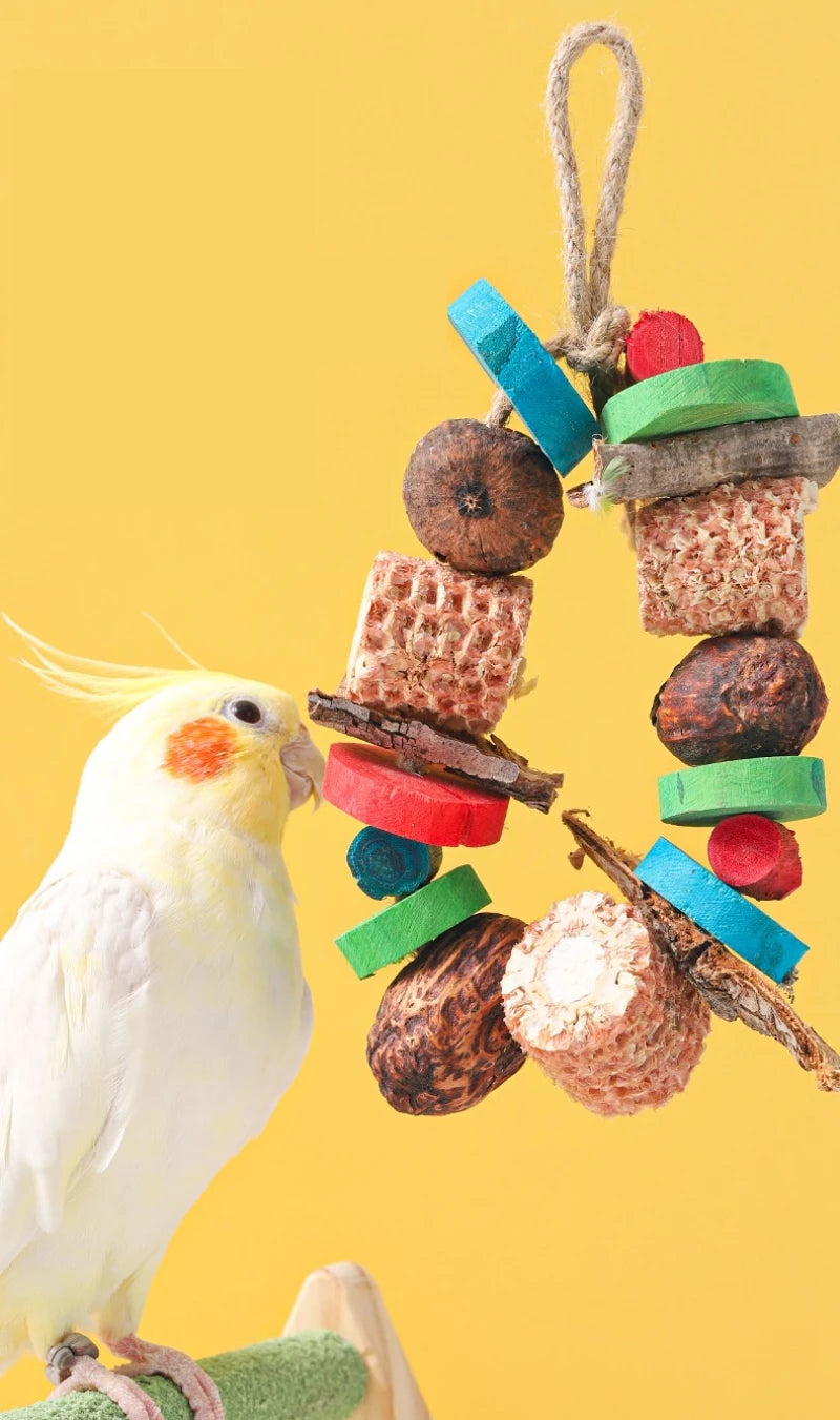 Natural Corn Cob and Loofah Parrot Chew Toy