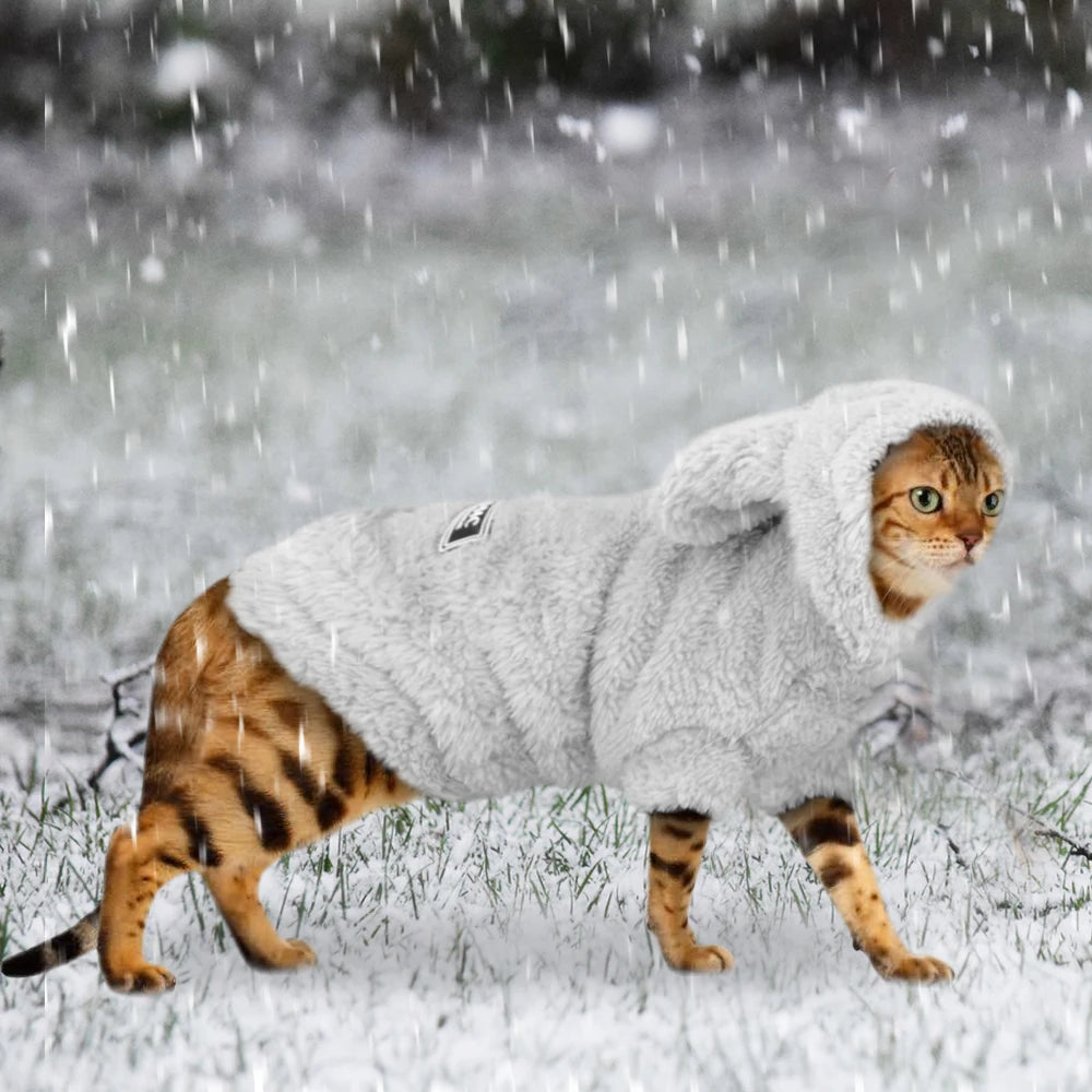 Cotton Winter Coat Jacket for Cats and Small Dogs