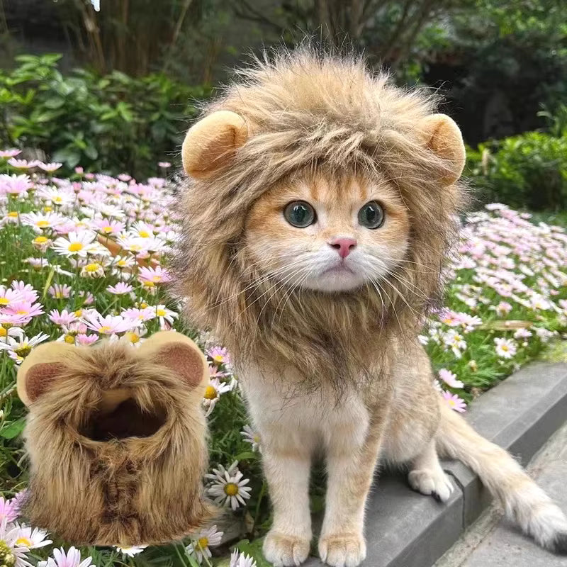 Lion Mane Cat Hat for Photos, Parties and Cozy Fun