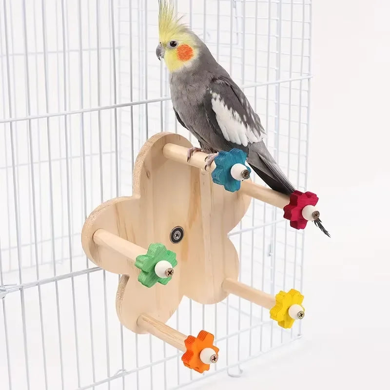 Colorful Parrot Biting and Foraging Toy Set