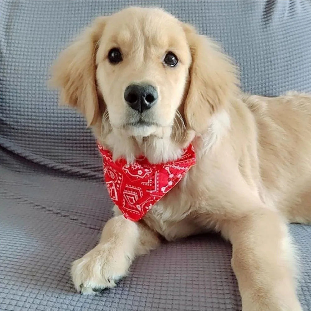 Adjustable Dog Bandana Collar for Puppies and Cats