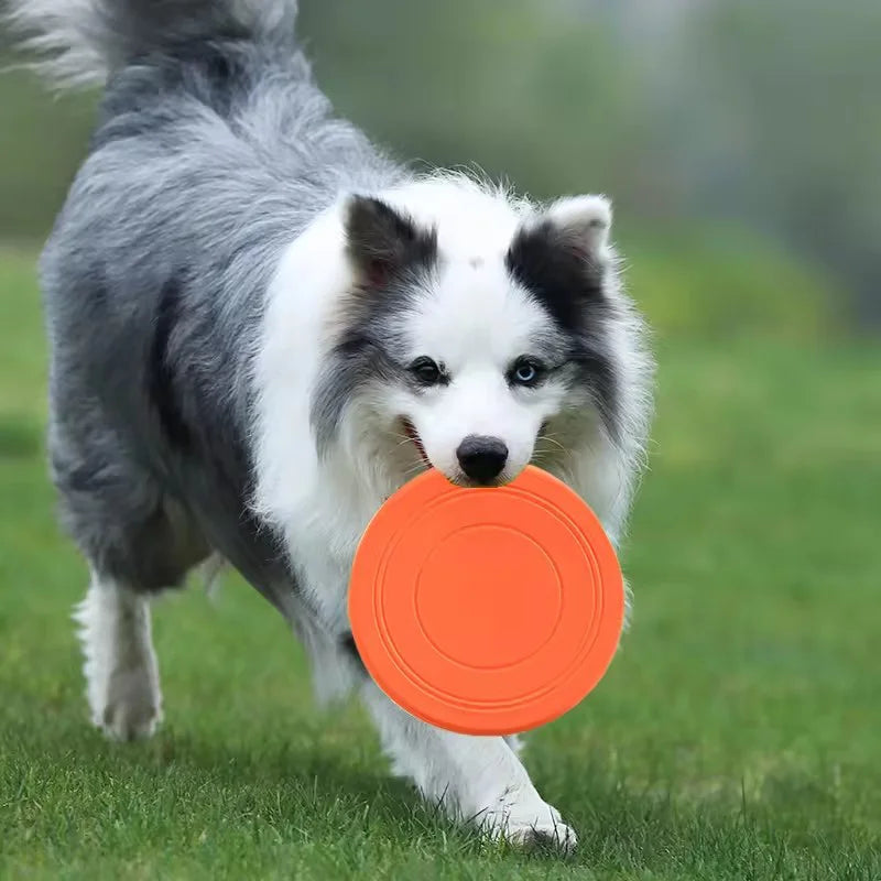 Chew-Resistant Soft Rubber Dog Frisbee for Fetch Training