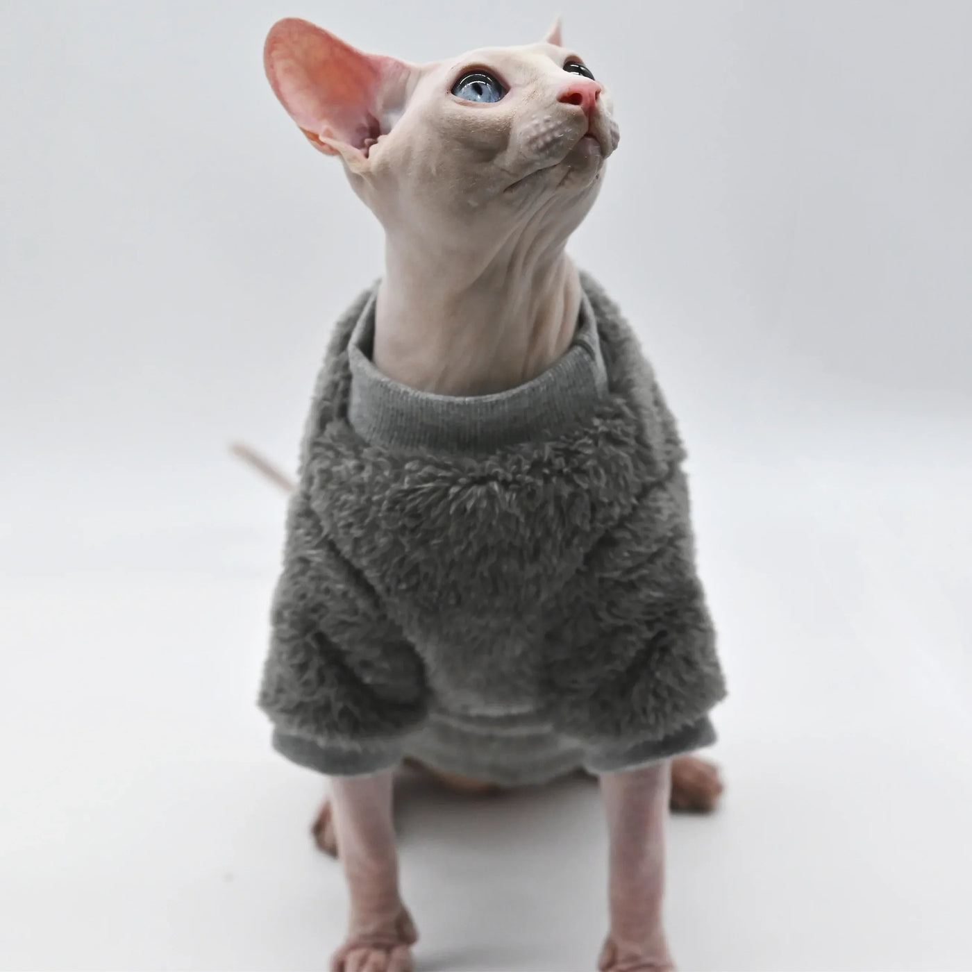 Double-Sided Fluffy Winter Jacket for Sphynx Cats