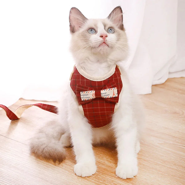 Bowknot Mesh Harness and Leash Set for Small Dogs and Cats