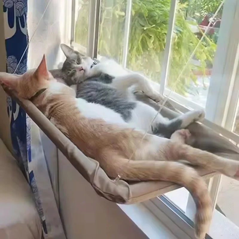 Window Hanging Cat Hammock with Washable Detachable Seat
