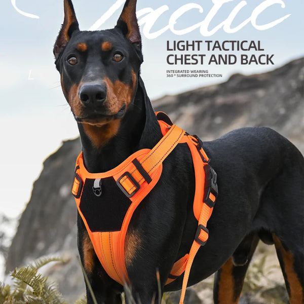 Reflective No-Pull Nylon Dog Harness for Daily Walks
