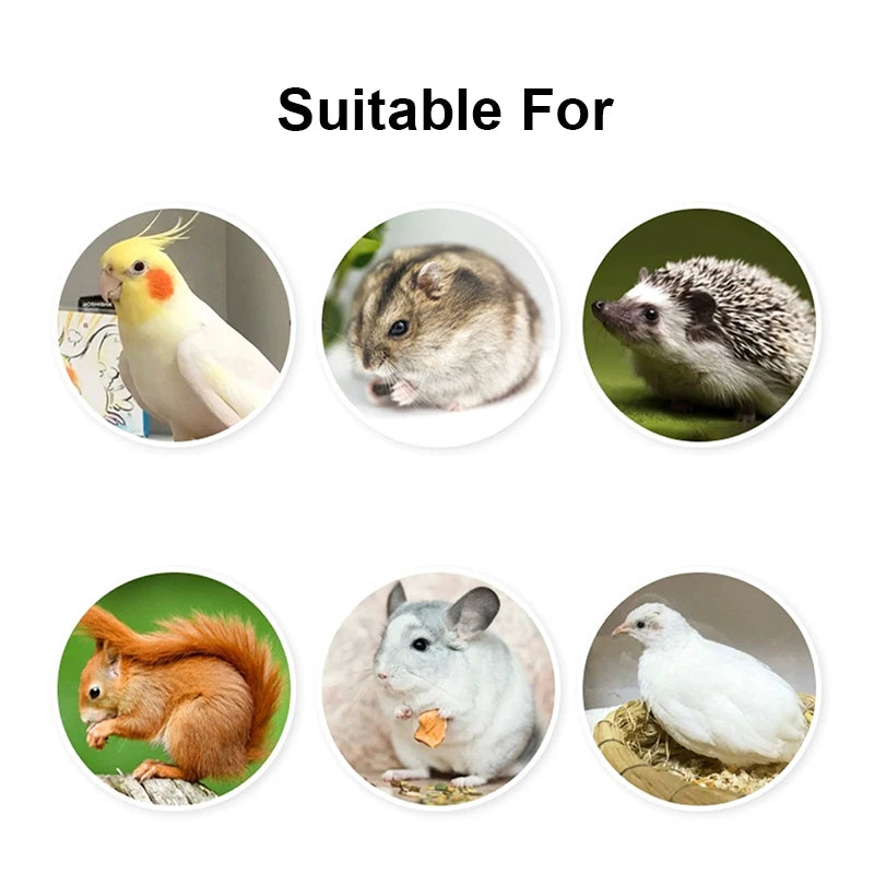 Detachable Transparent Bird Feeding Bowl for Cages