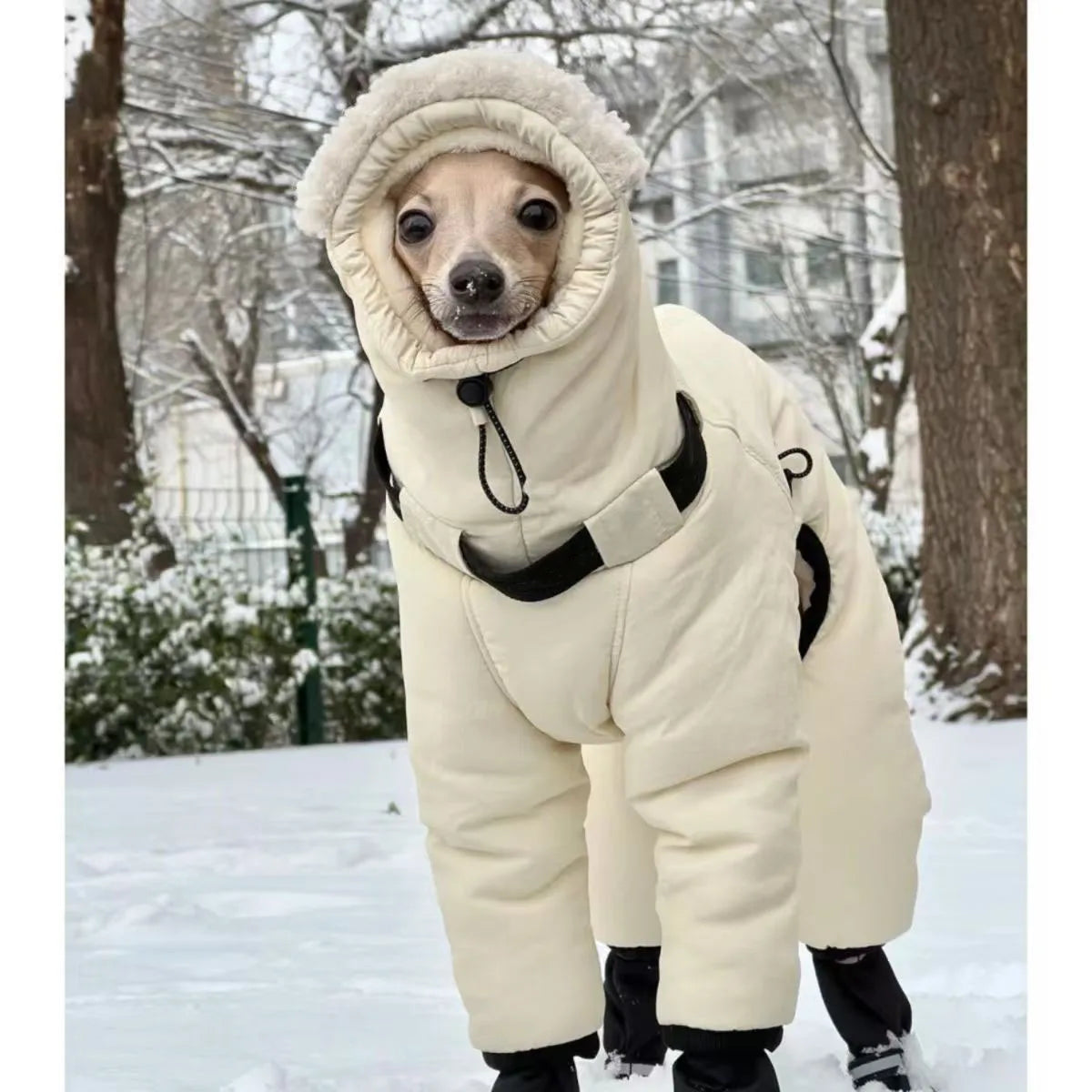 Thickened Cold Weather Dog Jacket With Full Neck Coverage