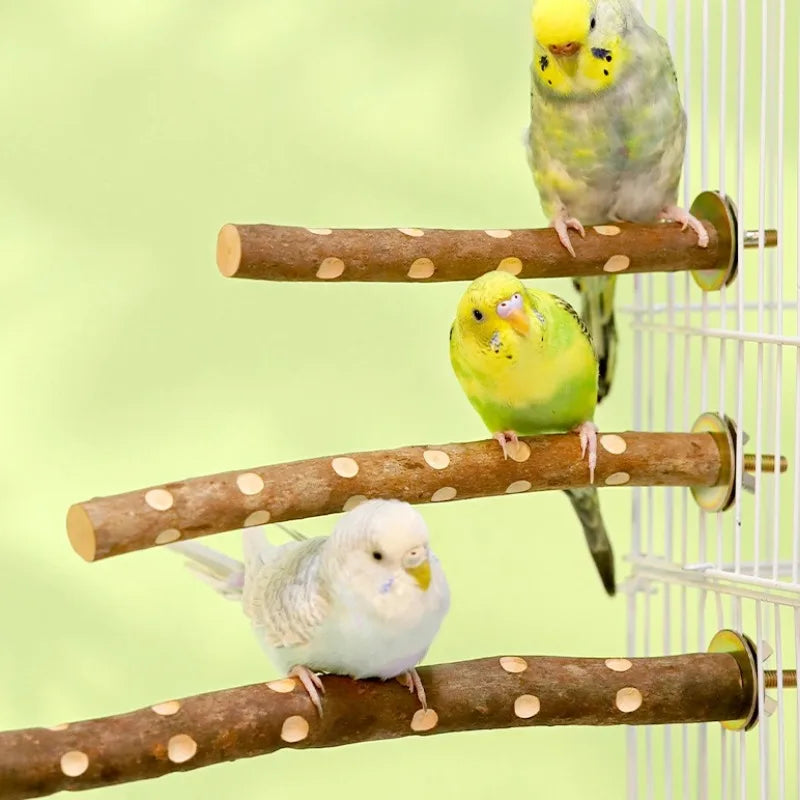 Natural Wood Bird Perch Stand for Cage Exercise