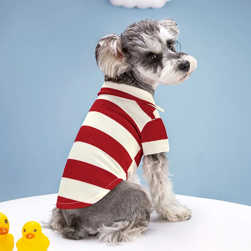 Summer Polo Shirt for Dogs and Cats - Casual Everyday Tee