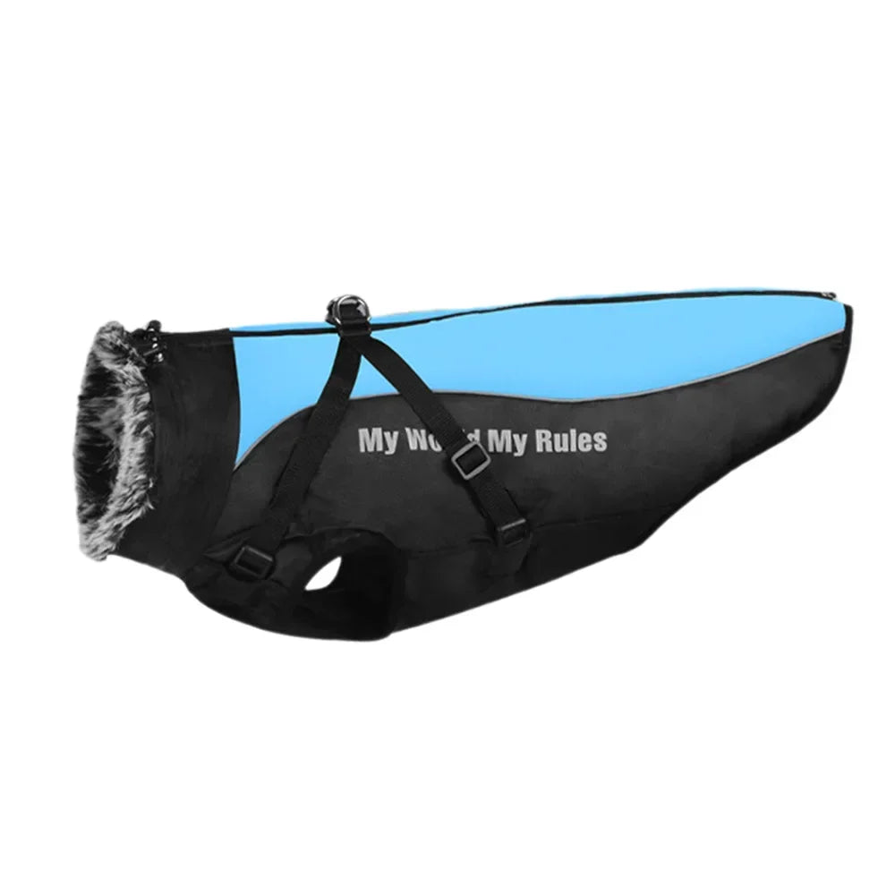 Fur Collar Winter Coat for Medium and Large Dogs