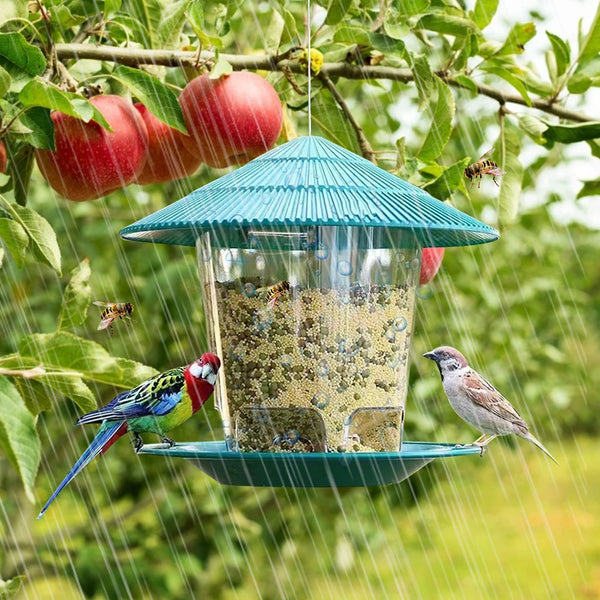 Hanging Outdoor Peanut and Seed Bird Feeder