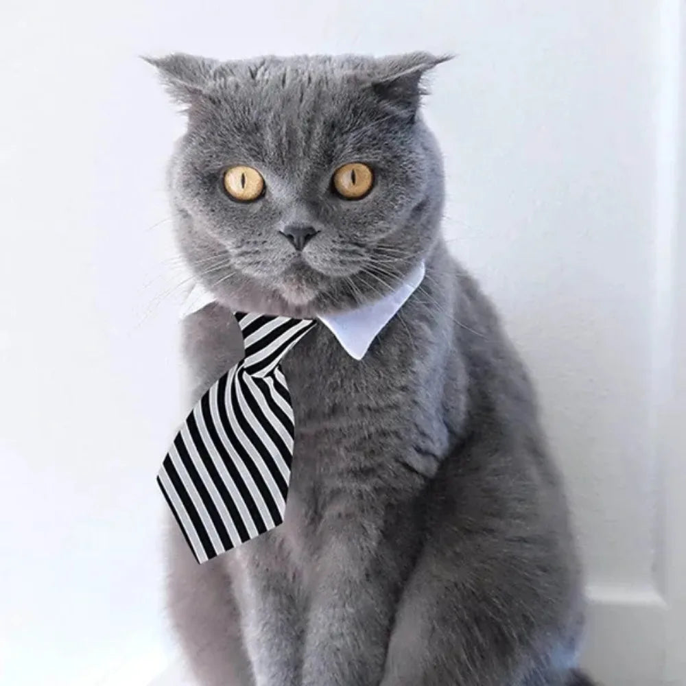 Adjustable Pet Bow Tie Neck Tie for Small Dogs and Cats