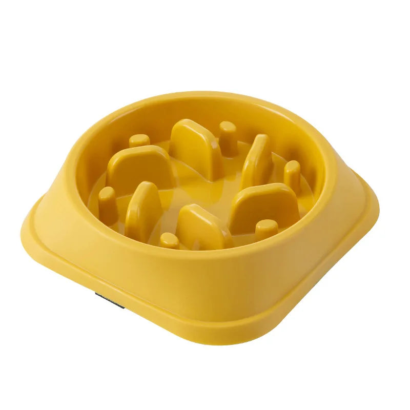 Non-Slip Slow Feeder Bowl for Dogs and Cats