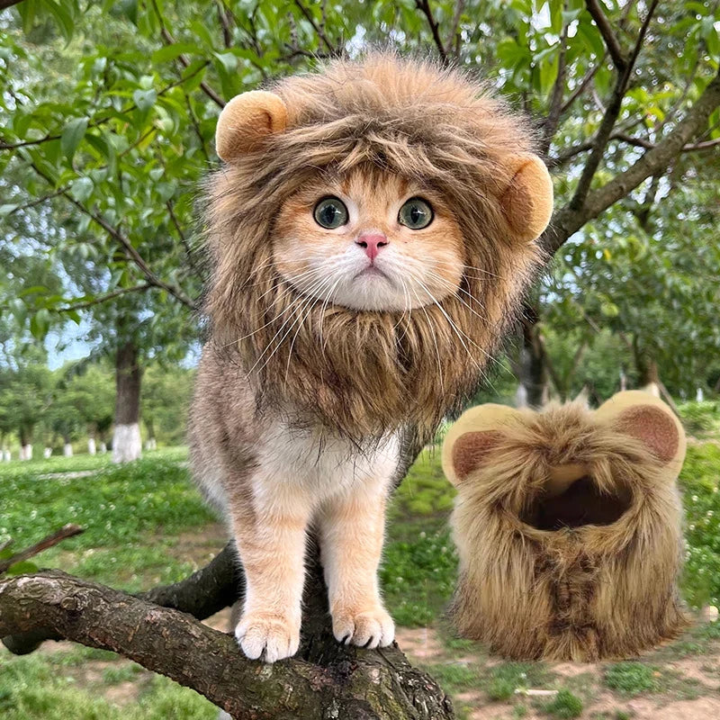 Lion Mane Cat Hat for Photos, Parties and Cozy Fun
