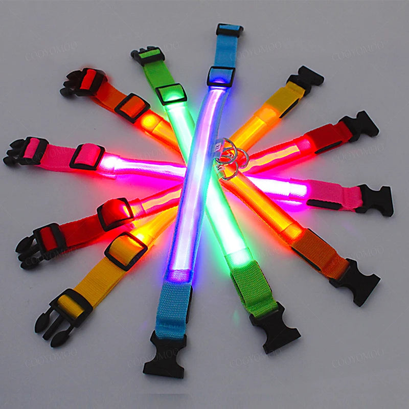 USB Rechargeable LED Glow Collar with 3 Light Modes