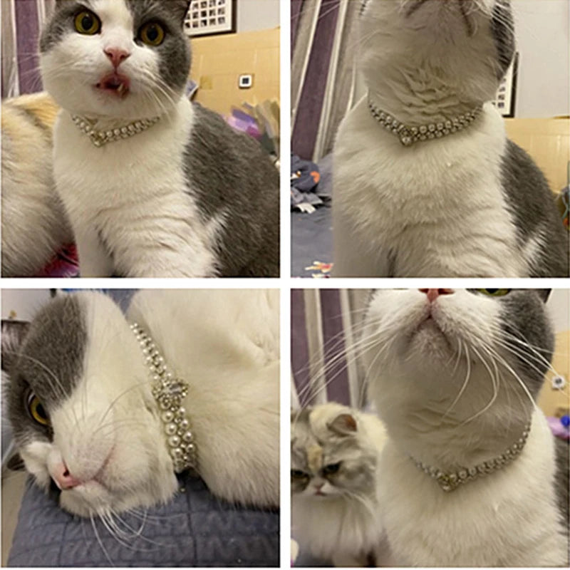 Pearl Rhinestone Cat and Puppy Necklace Collar