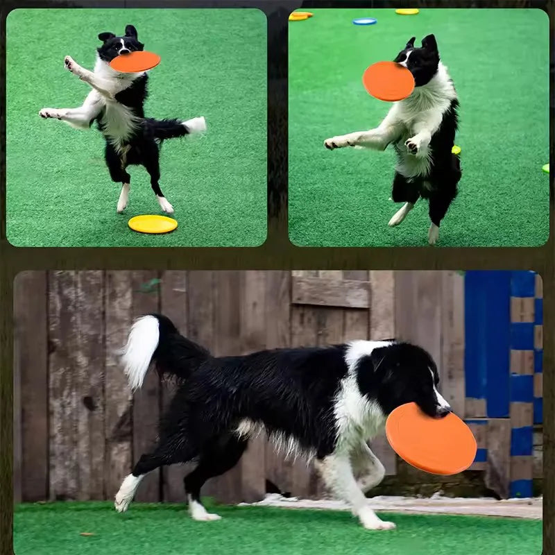 Chew-Resistant Soft Rubber Dog Frisbee for Fetch Training