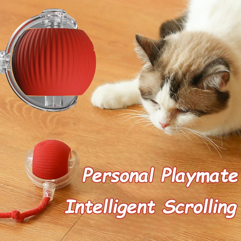 Rechargeable Faux Tail Smart Ball Cat Toy