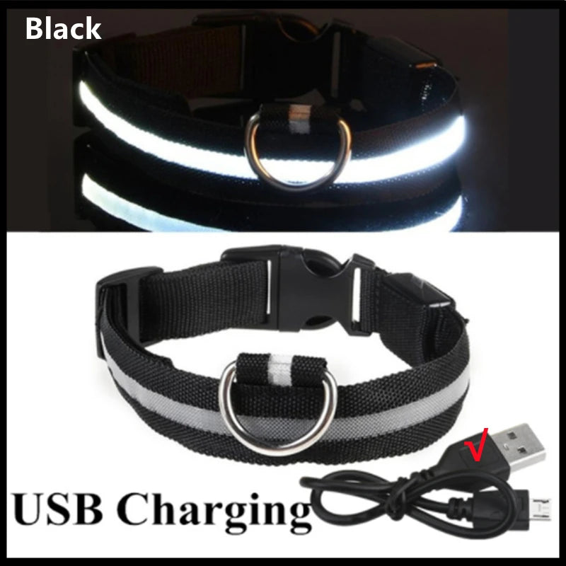USB Rechargeable LED Glow Collar with 3 Light Modes