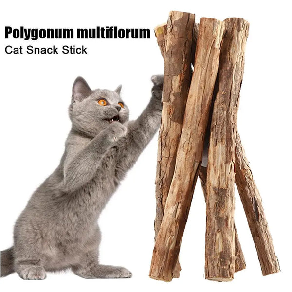 Natural Catnip Chew Sticks for Dental Play