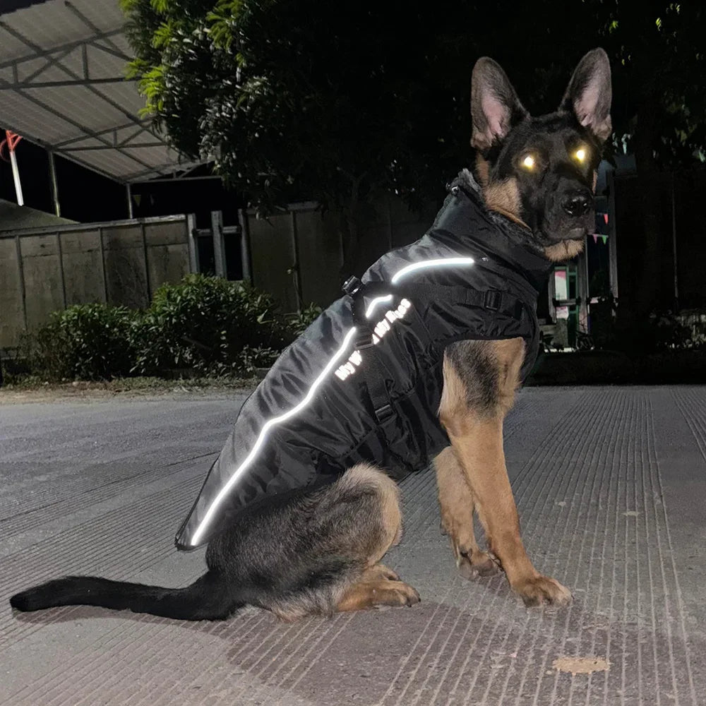 Fur Collar Winter Coat for Medium and Large Dogs