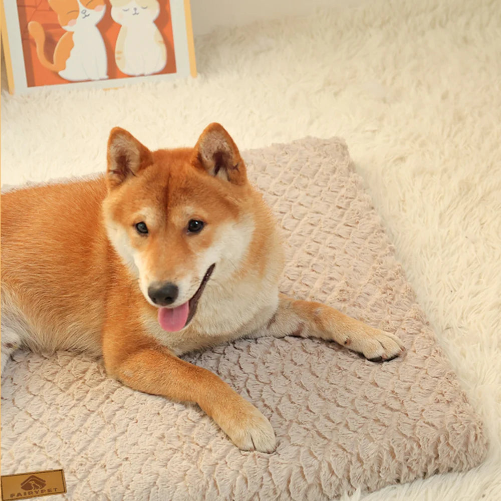 Cozy 3D Foam Orthopedic Dog Bed With Washable Faux Fur Cover