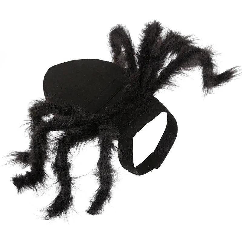 Halloween Spider Costume for Cats and Small Dogs