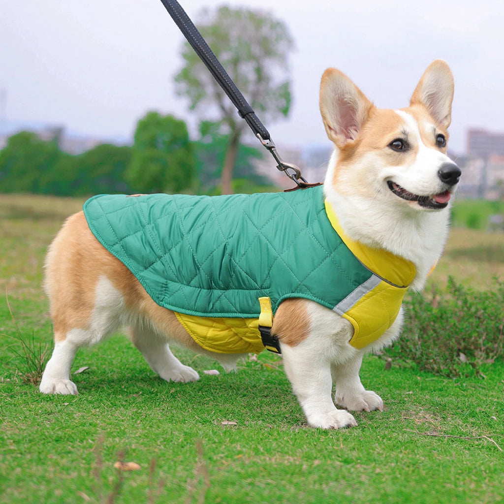 Waterproof Padded Winter Dog Vest Jacket for Small to Large Dogs