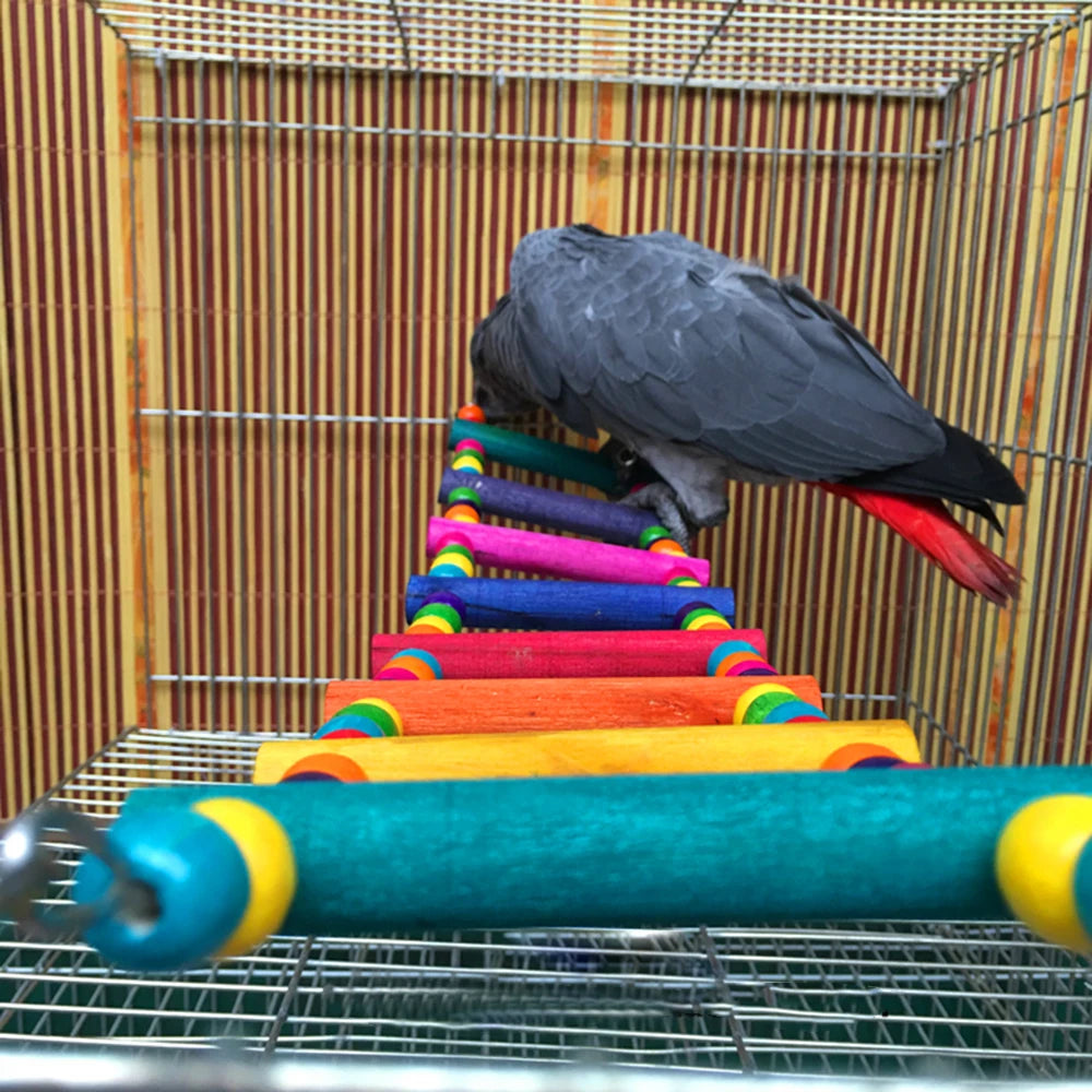 12-Step Multicolor Bird Climbing Ladder Toy
