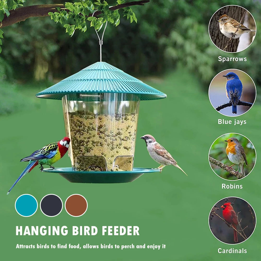 Hanging Outdoor Peanut and Seed Bird Feeder