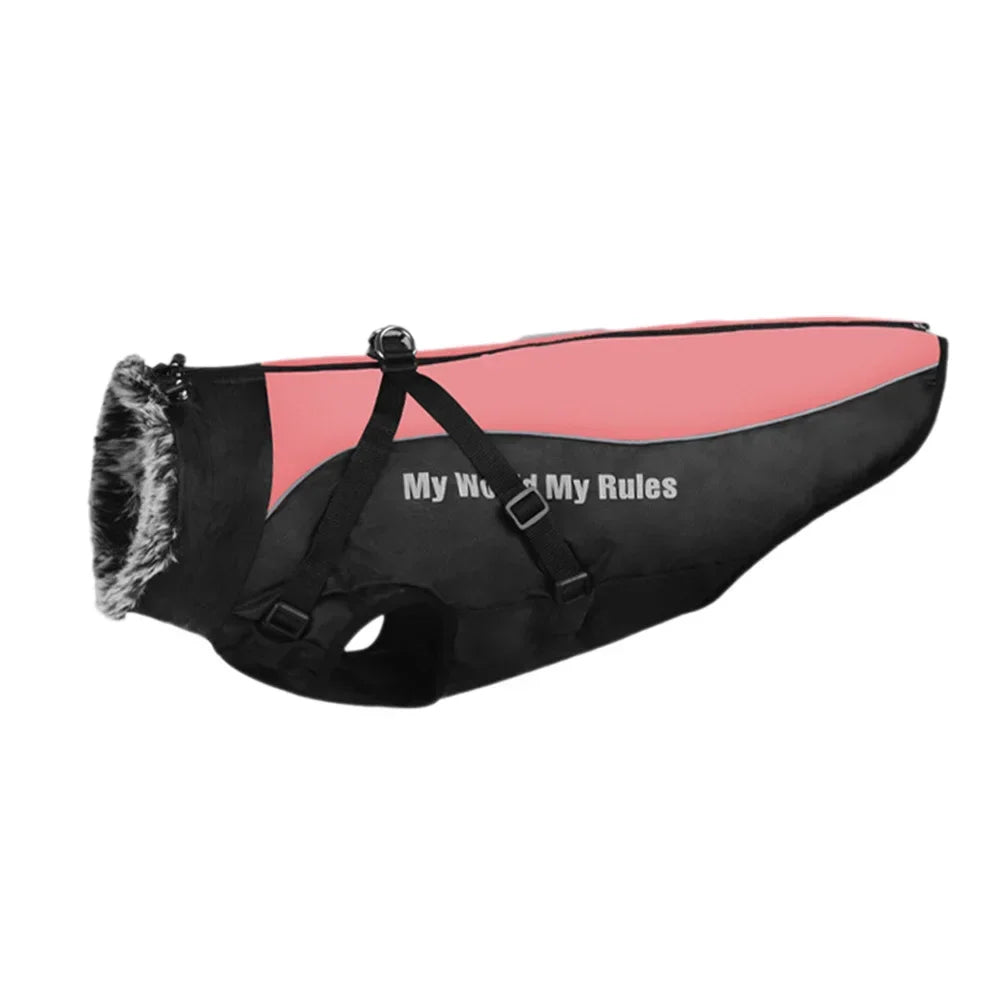 Fur Collar Winter Coat for Medium and Large Dogs